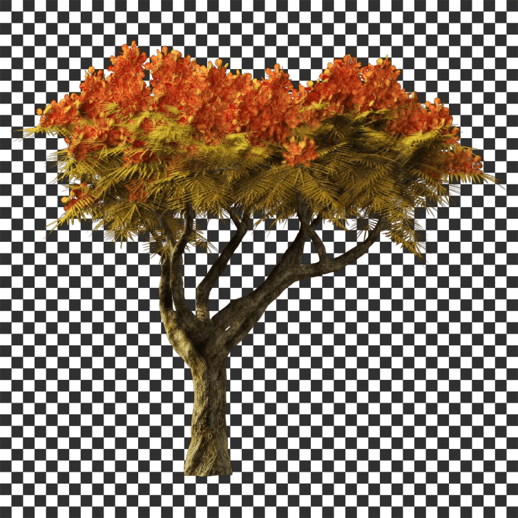Flame Tree Decal - A23D