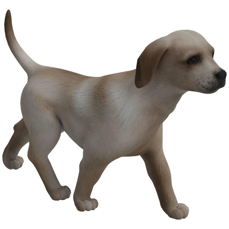 Dog 3D Model - A23D