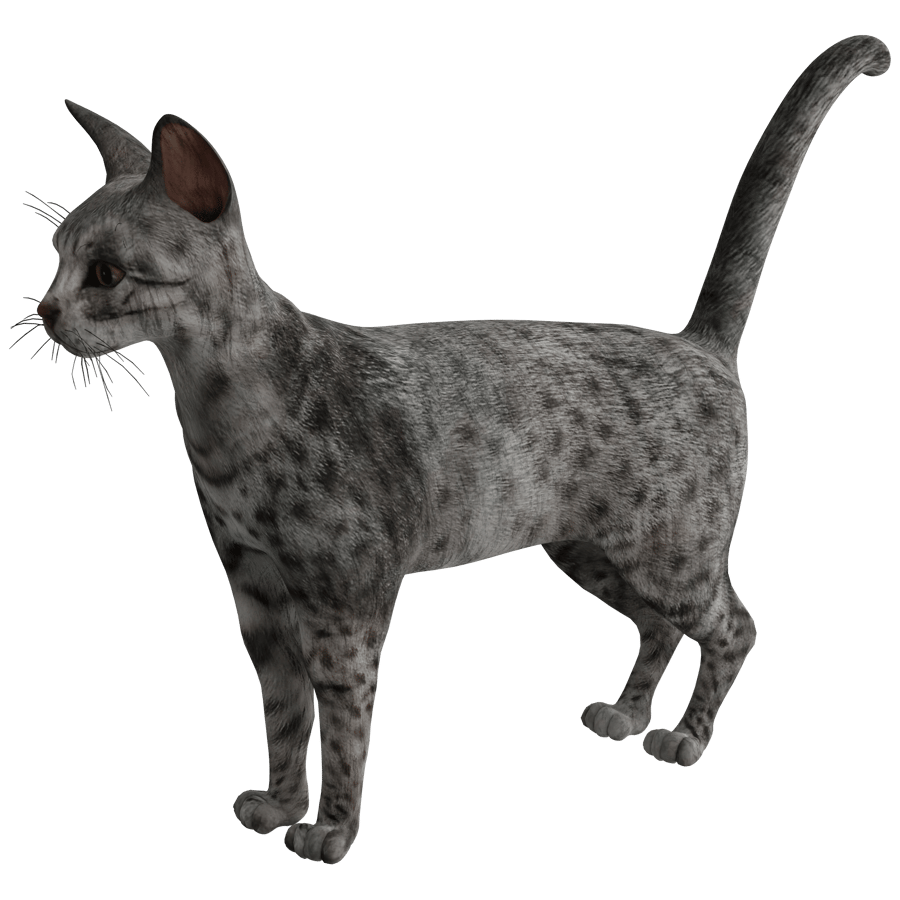 Cat 3D Model - A23D