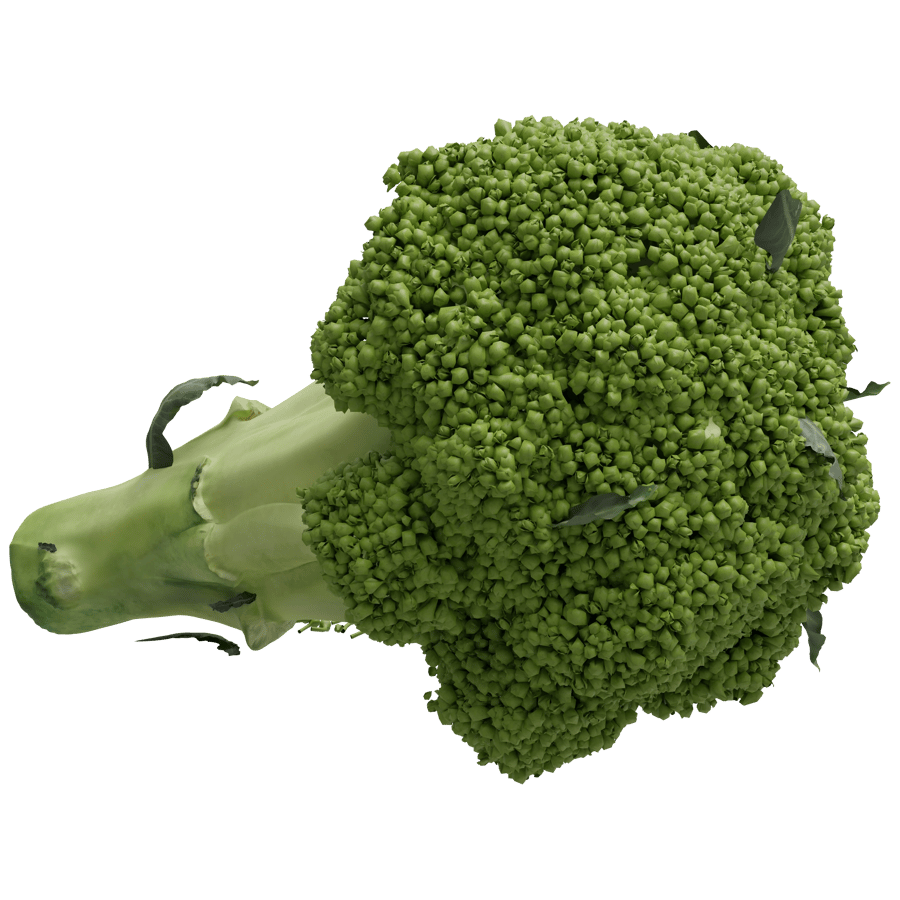Broccoli 3D Model - A23D