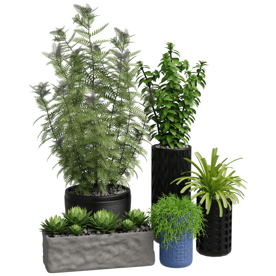 Decorative Potted Plants 3D Model - A23D