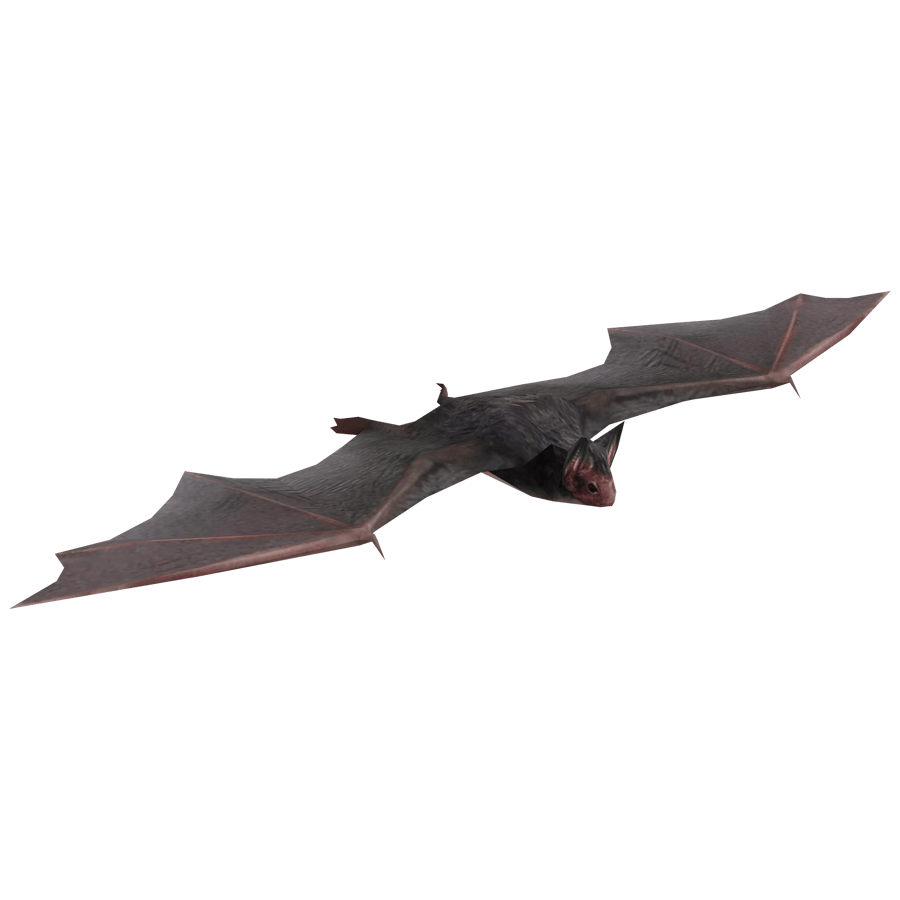 Bat 3D Model - A23D