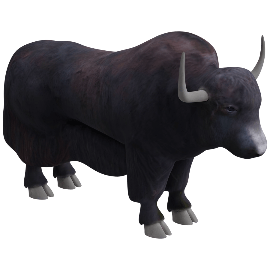 Water Buffalo 3D Model - A23D