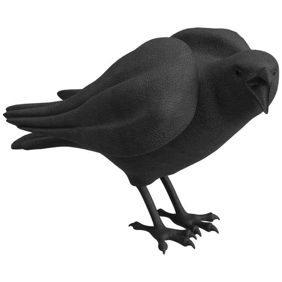 Common Raven 3D Model - A23D