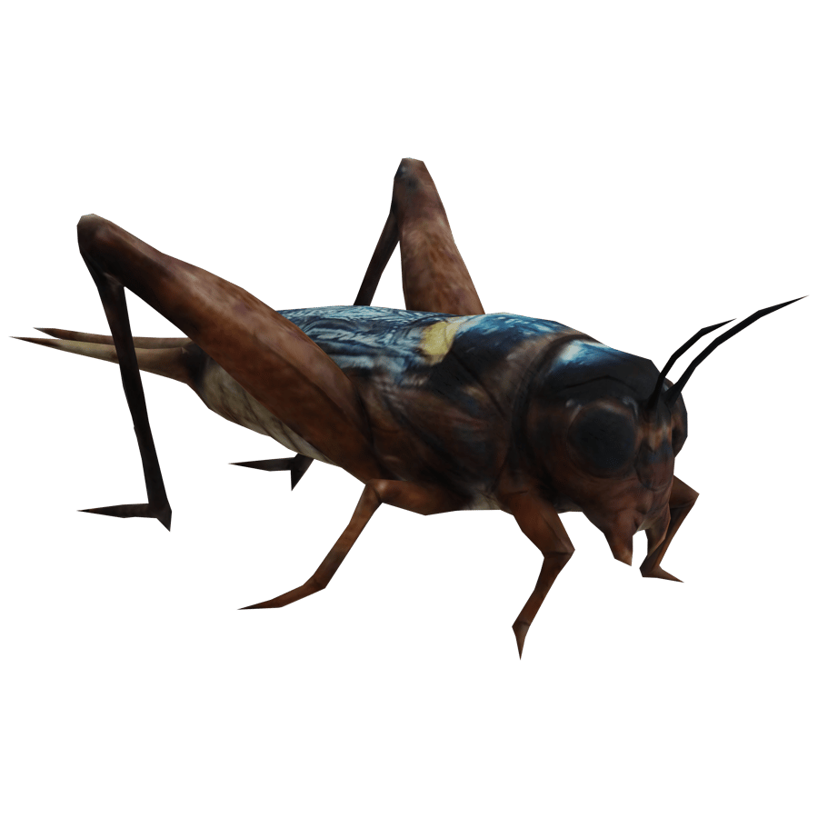 Giant Cricket 3D Model - A23D