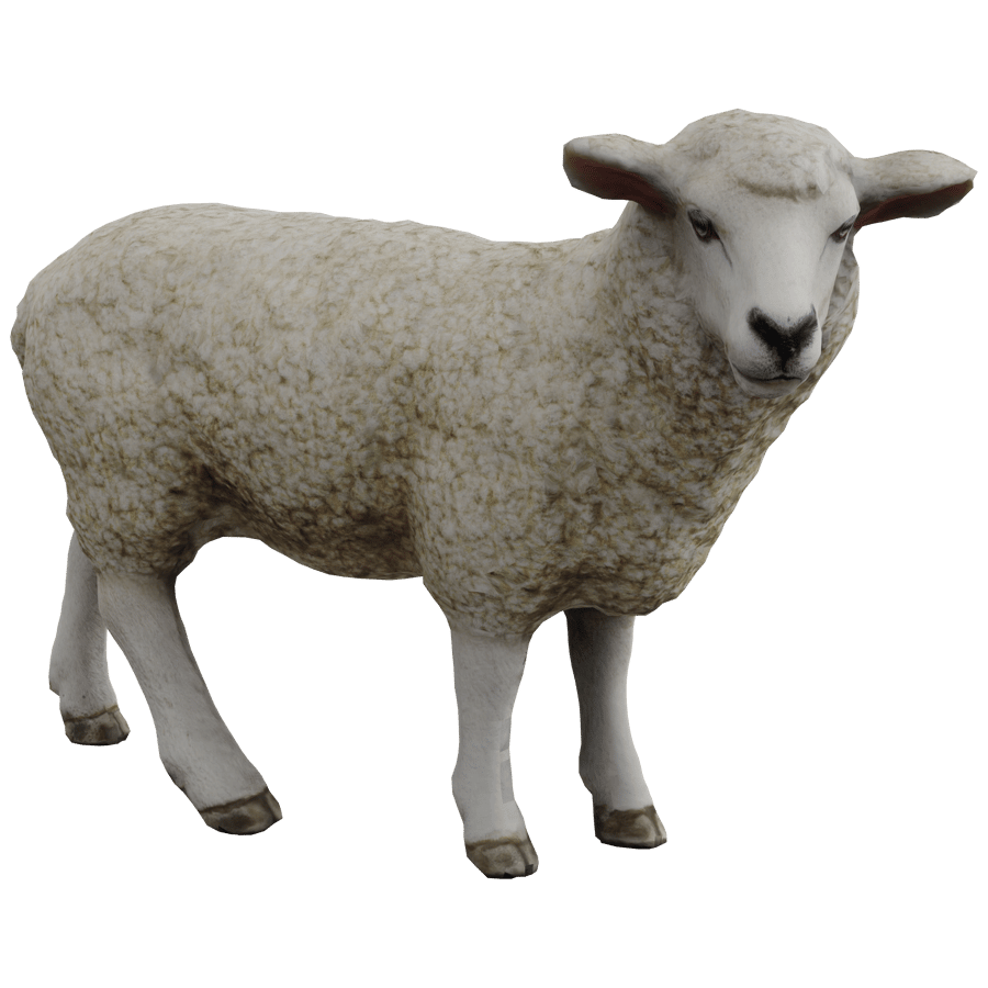Sheep 3D Model - A23D