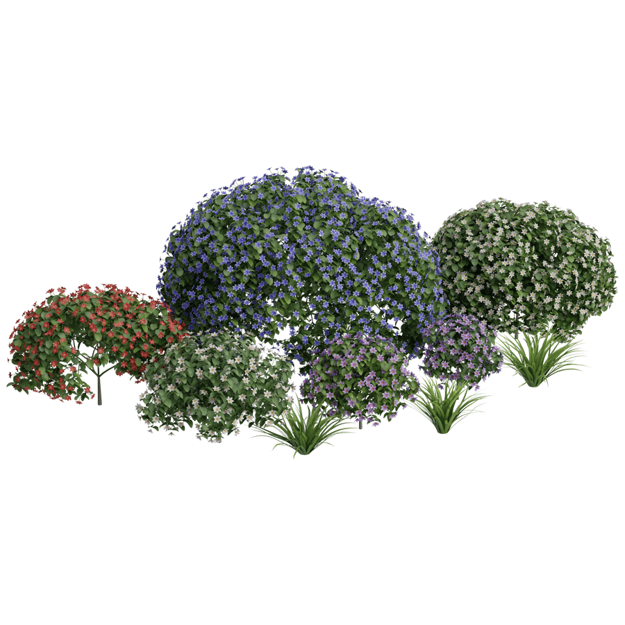 Ornamental Shrubs 3D Model - A23D