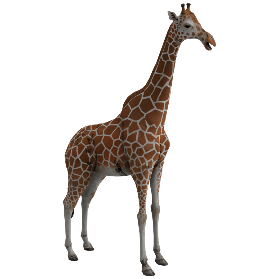 Giraffe 3D Model - A23D