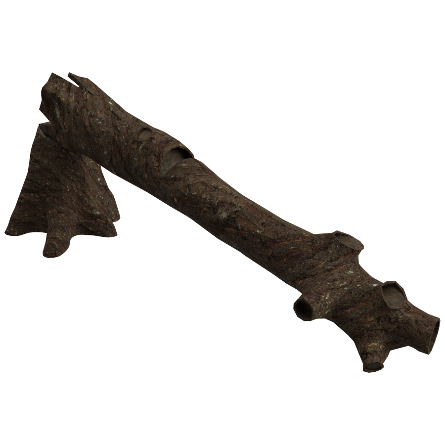 Fallen Tree Trunk 3D Model - A23D