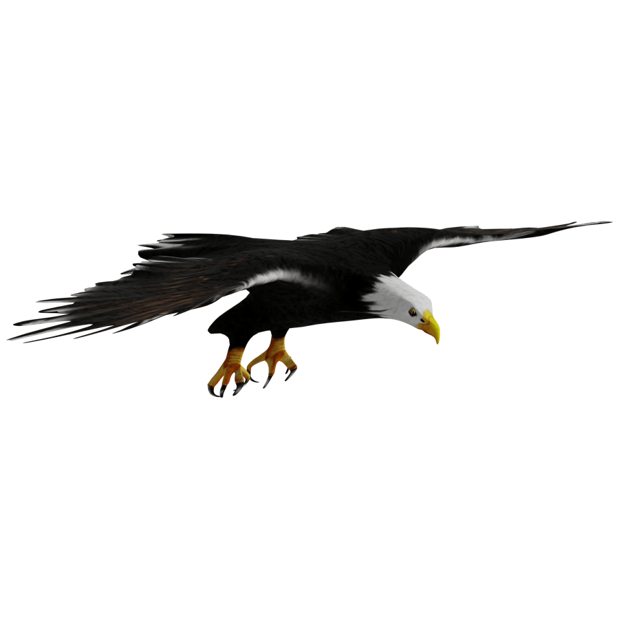 Birds & Insects 3D Model - A23D