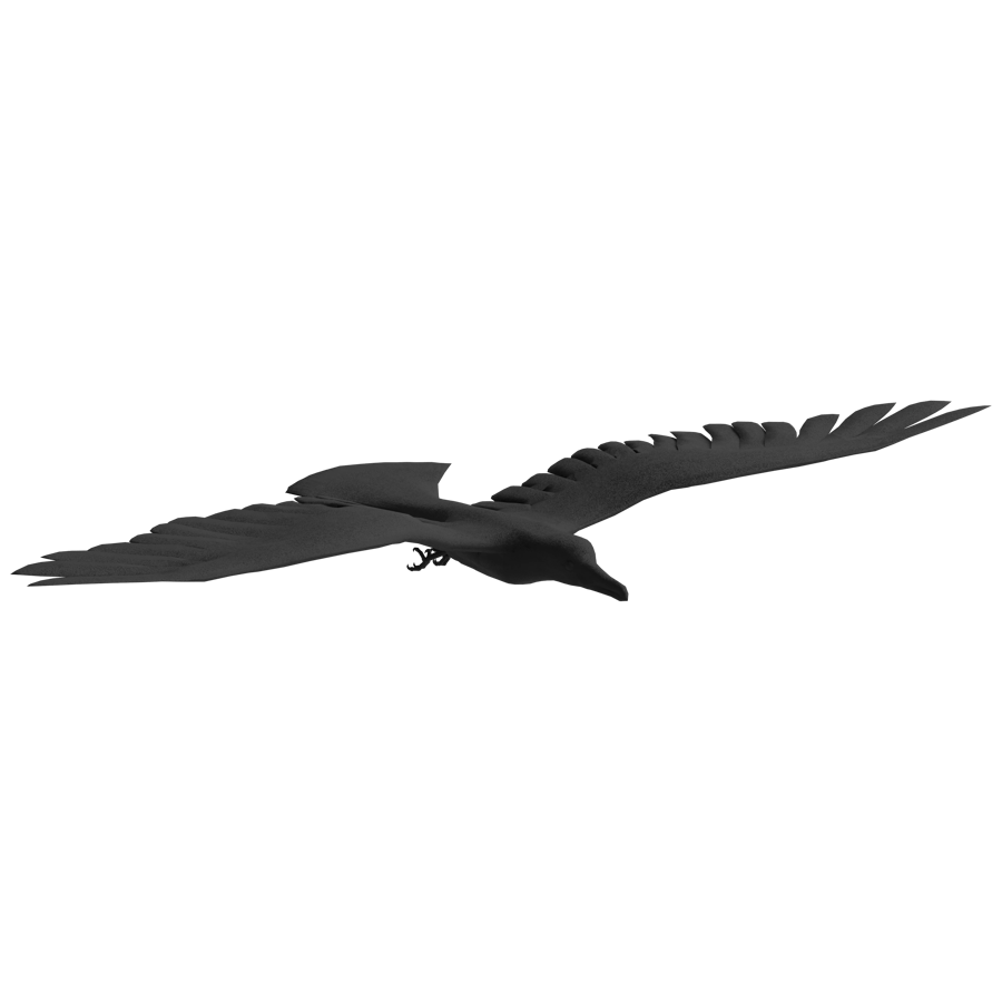 Birds & Insects 3D Model - A23D