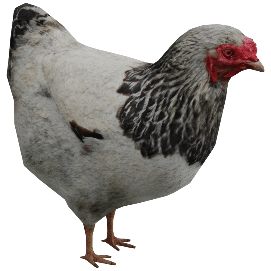 Birds & Insects 3D Model - A23D