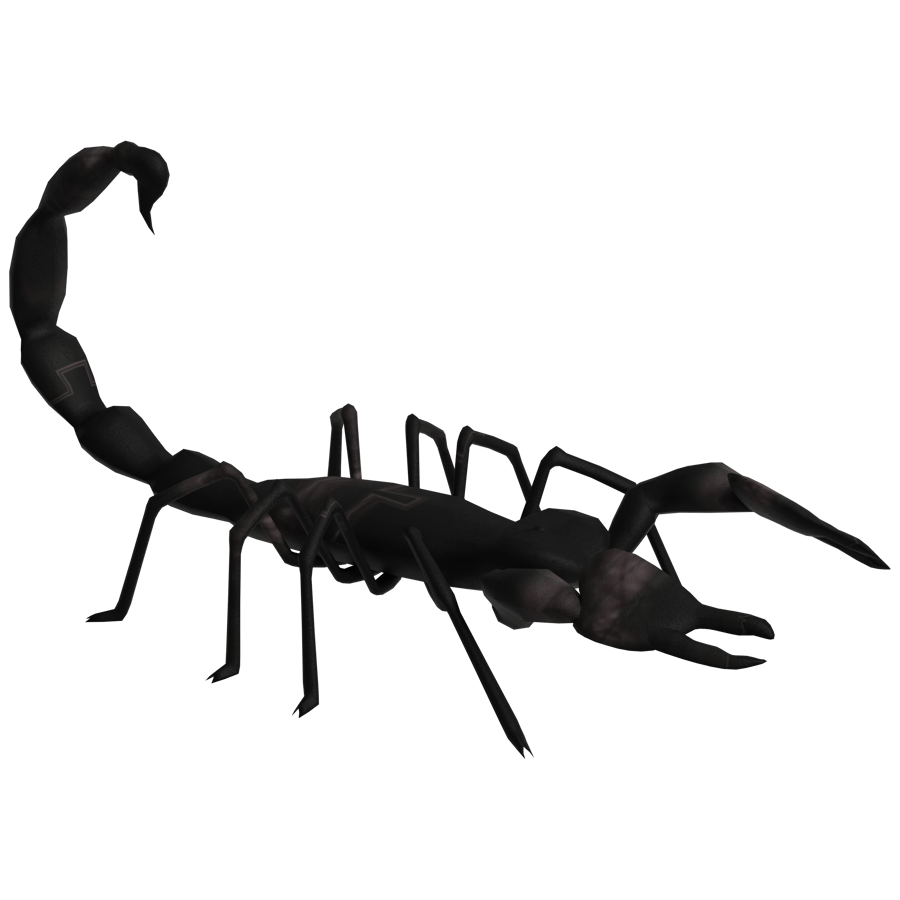 Birds & Insects 3D Model - A23D