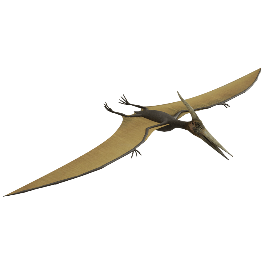 Birds & Insects 3D Model - A23D