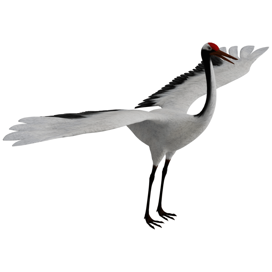 Birds & Insects 3D Model - A23D