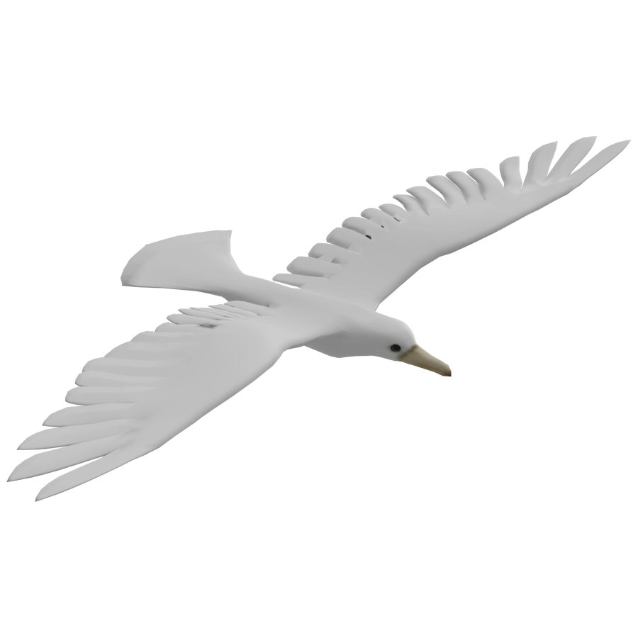 Birds & Insects 3D Model - A23D