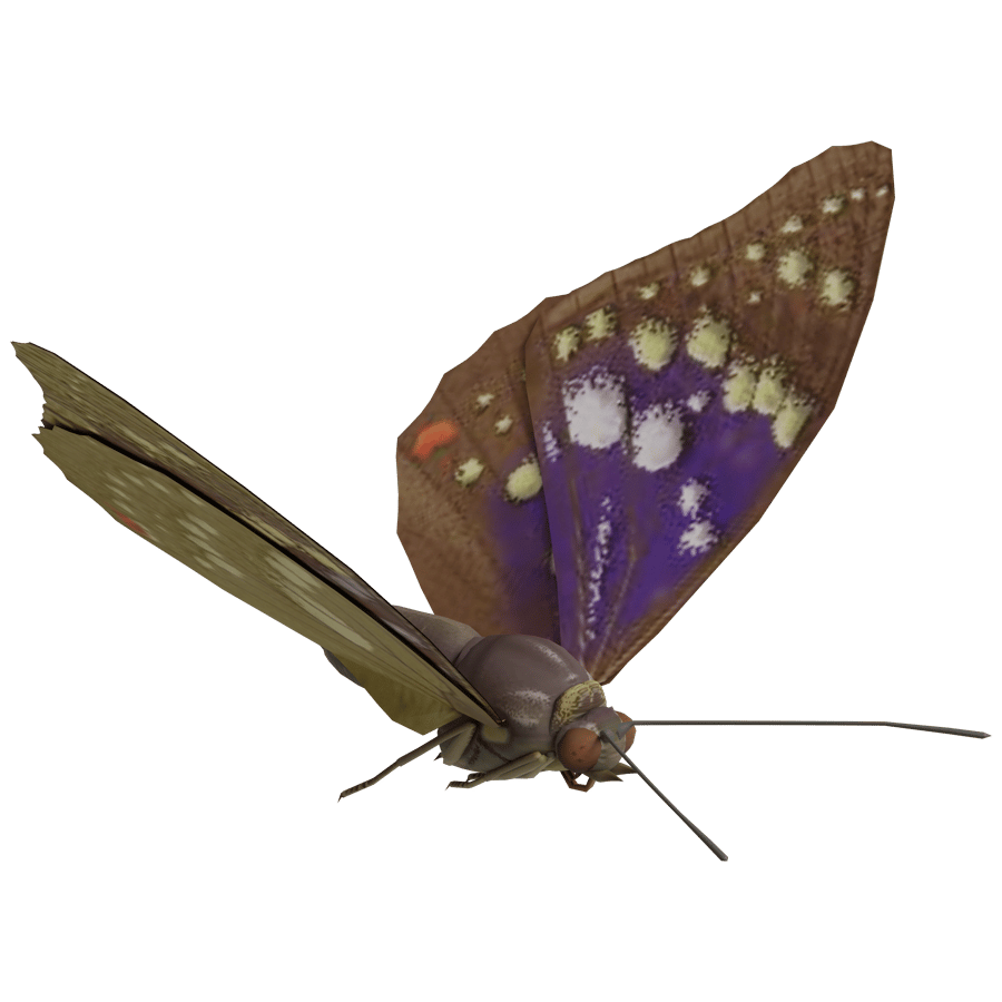 Birds & Insects 3D Model - A23D