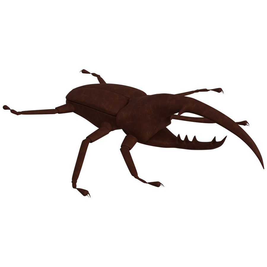 Birds & Insects 3D Model - A23D