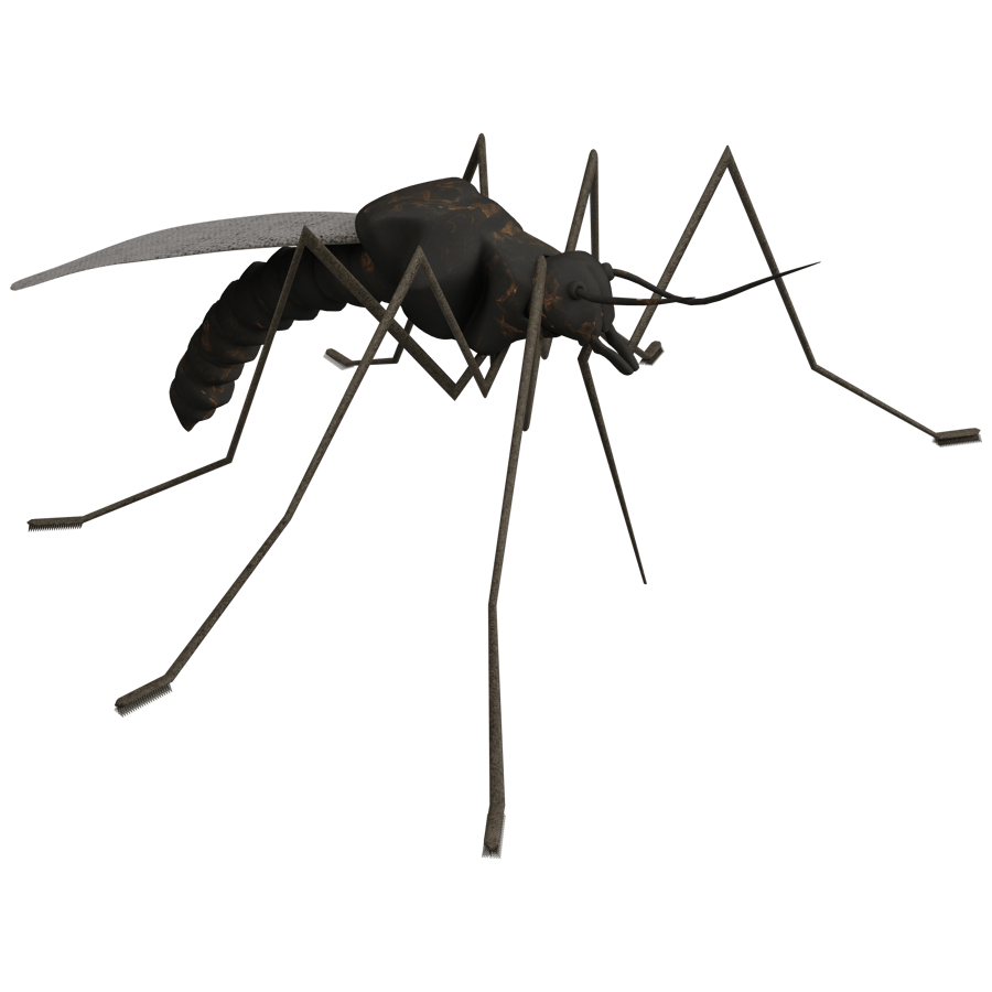 Birds & Insects 3D Model - A23D