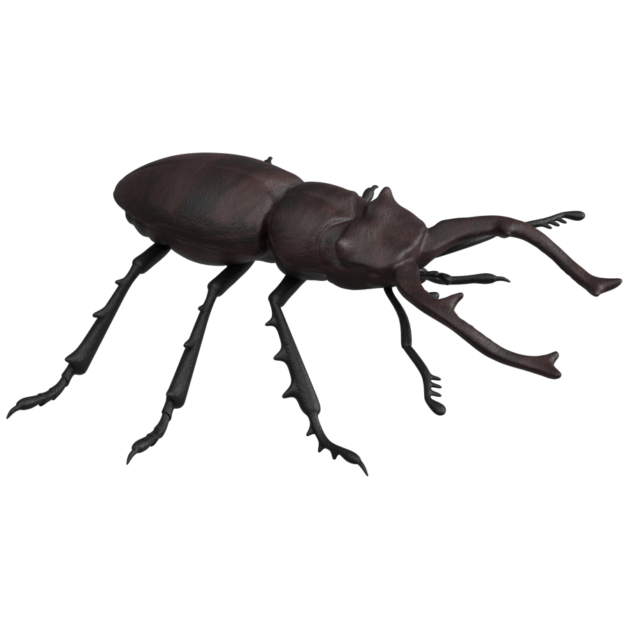 Birds & Insects 3D Model - A23D
