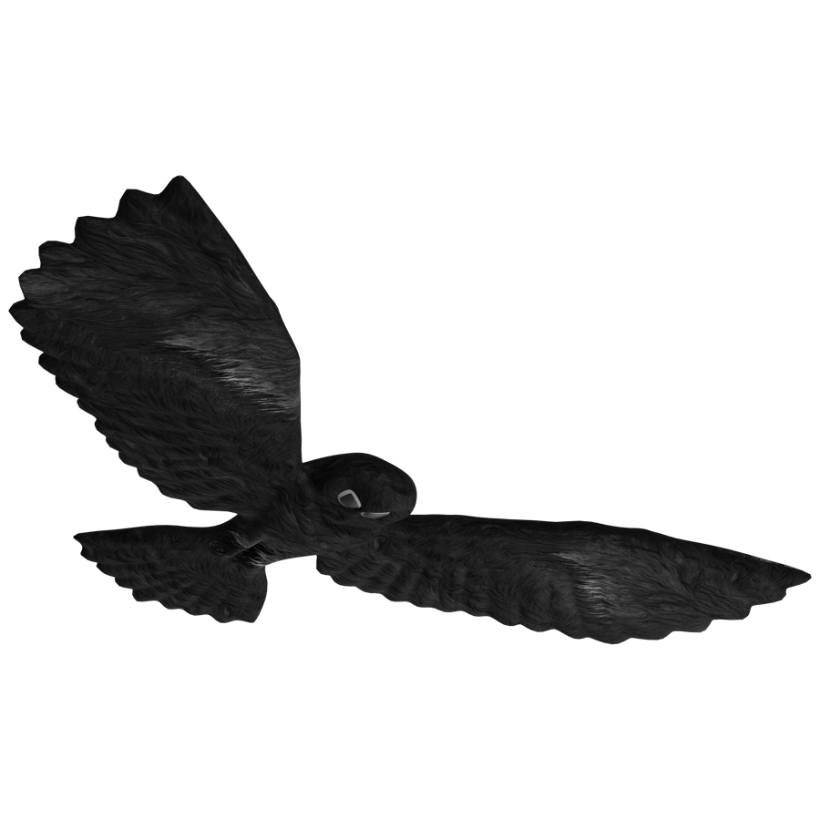 Birds & Insects 3D Model - A23D