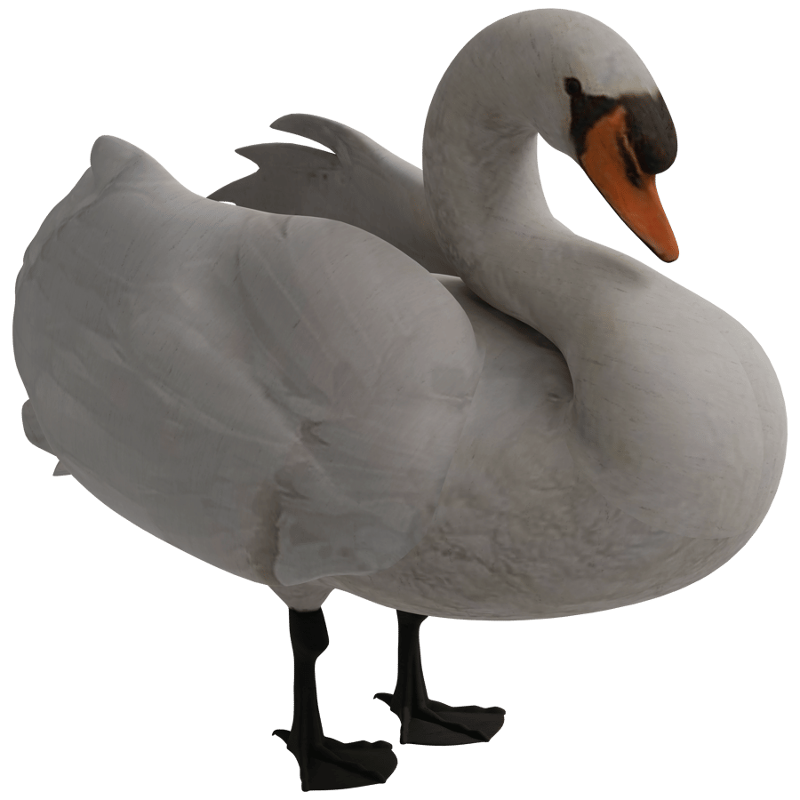 Birds & Insects 3D Model - A23D