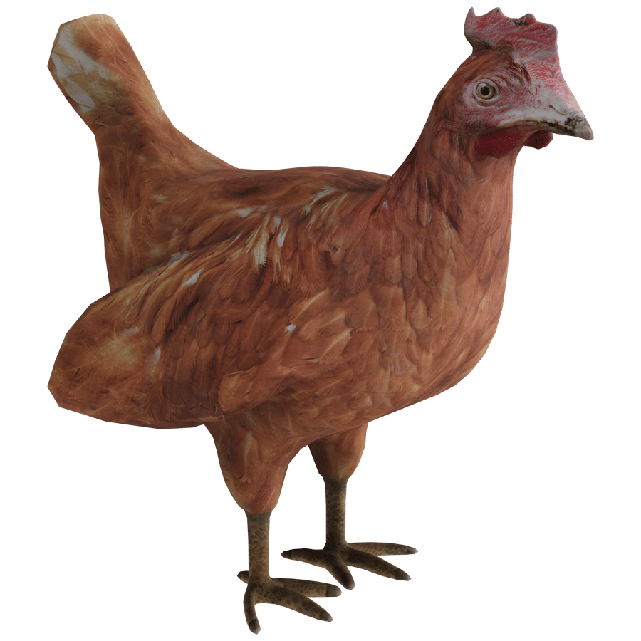 Birds & Insects 3D Model - A23D