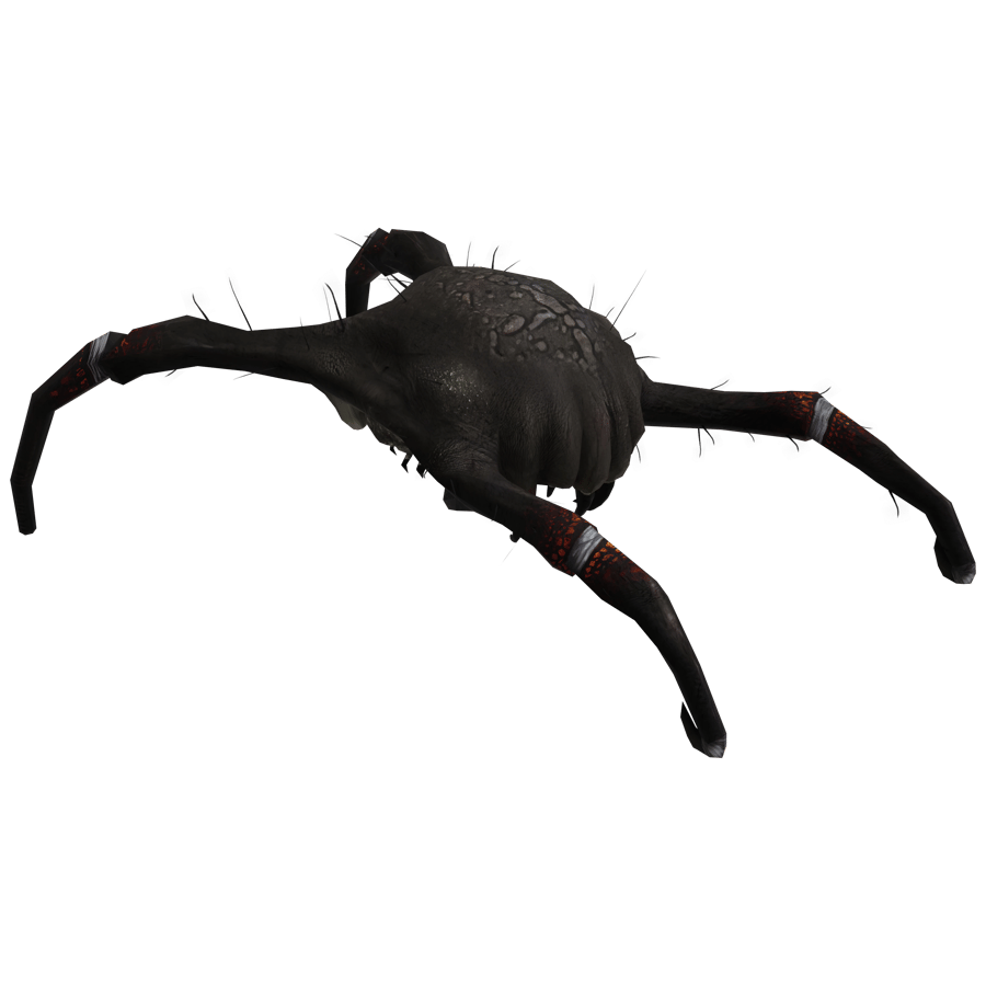 Birds & Insects 3D Model - A23D