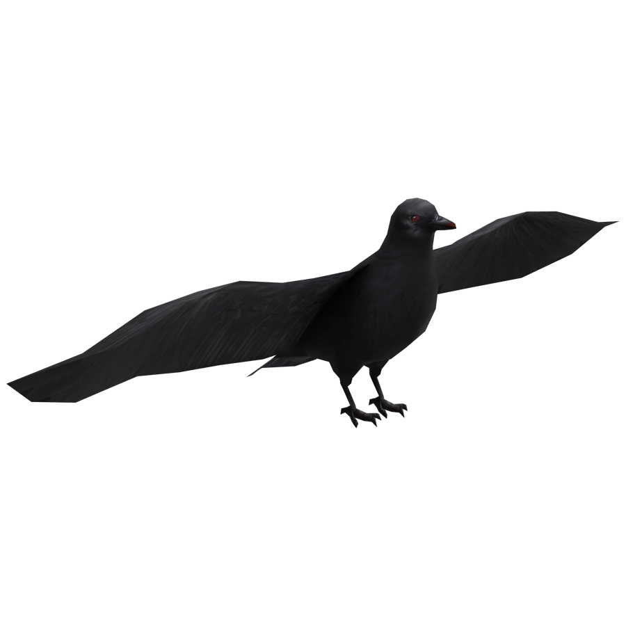 Birds & Insects 3D Model - A23D