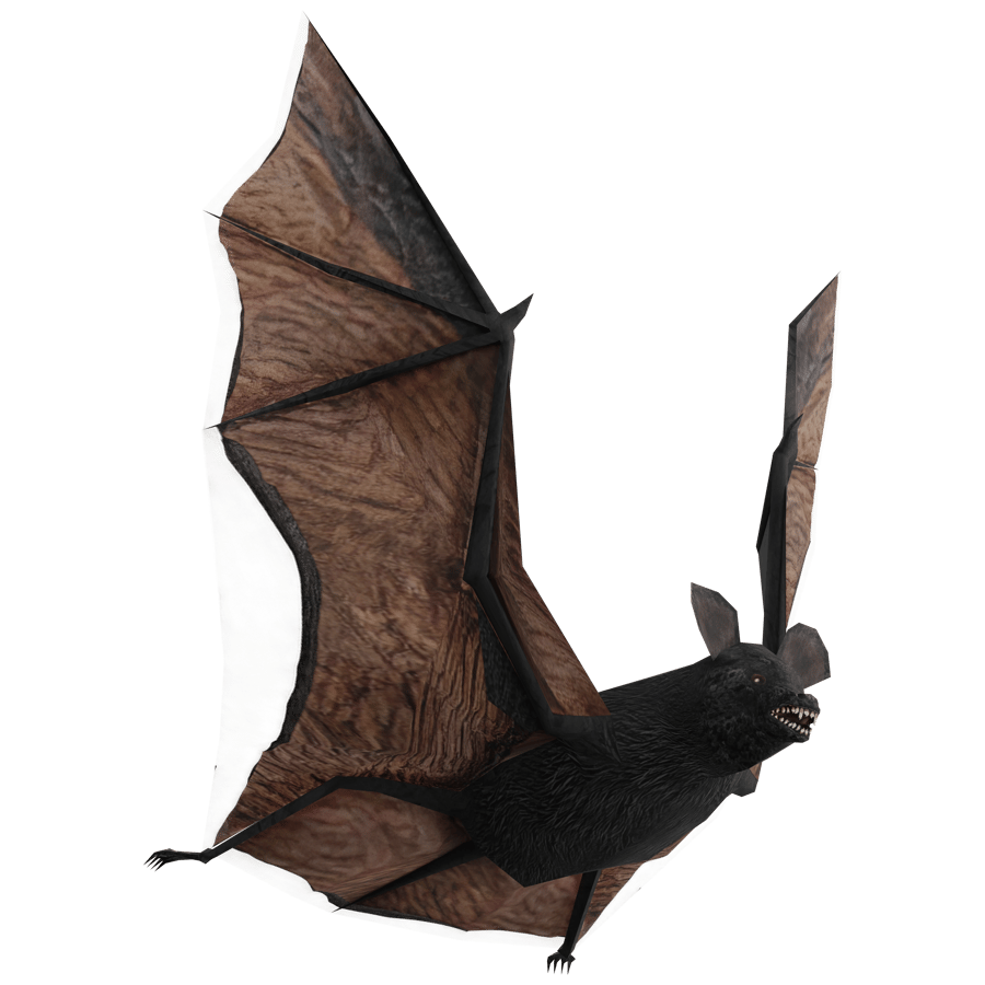 Birds & Insects 3D Model - A23D