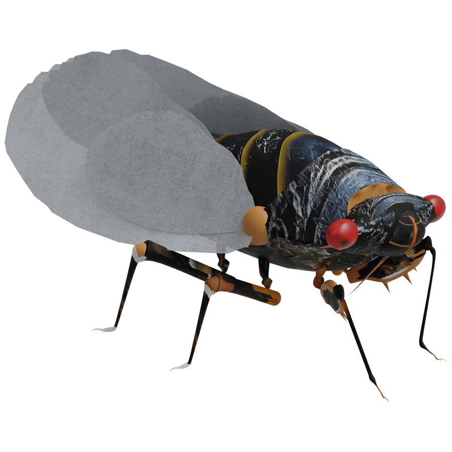 Birds & Insects 3D Model - A23D