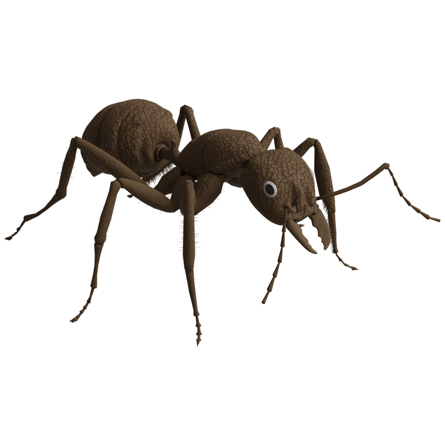 Birds & Insects 3D Model - A23D