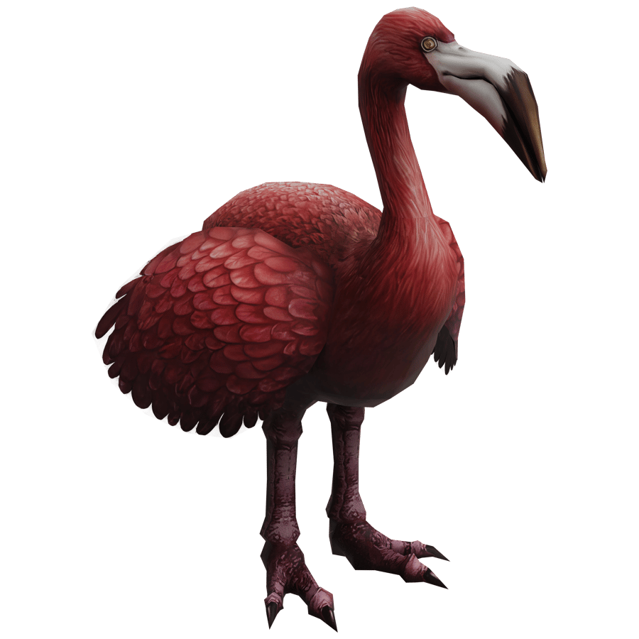 Birds & Insects 3D Model - A23D