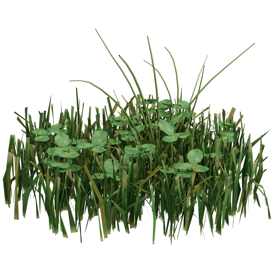 Ground Cover 3D Model - A23D