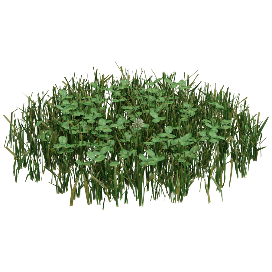 Ground Cover 3D Model - A23D