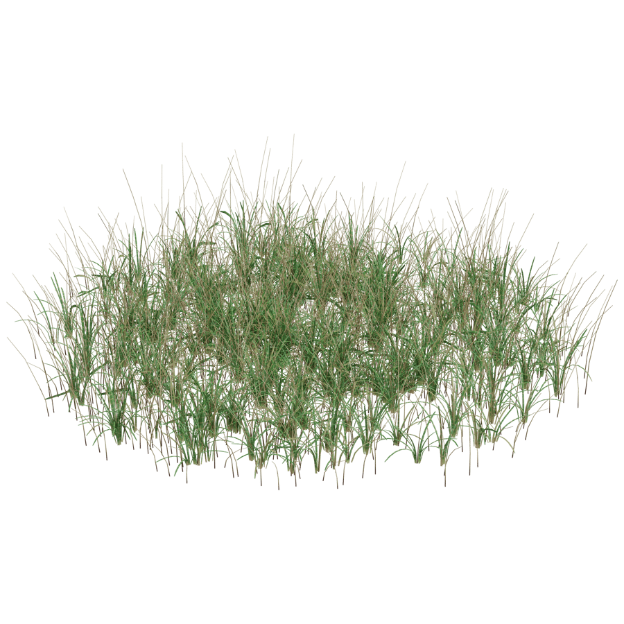 Ground Cover 3D Model - A23D
