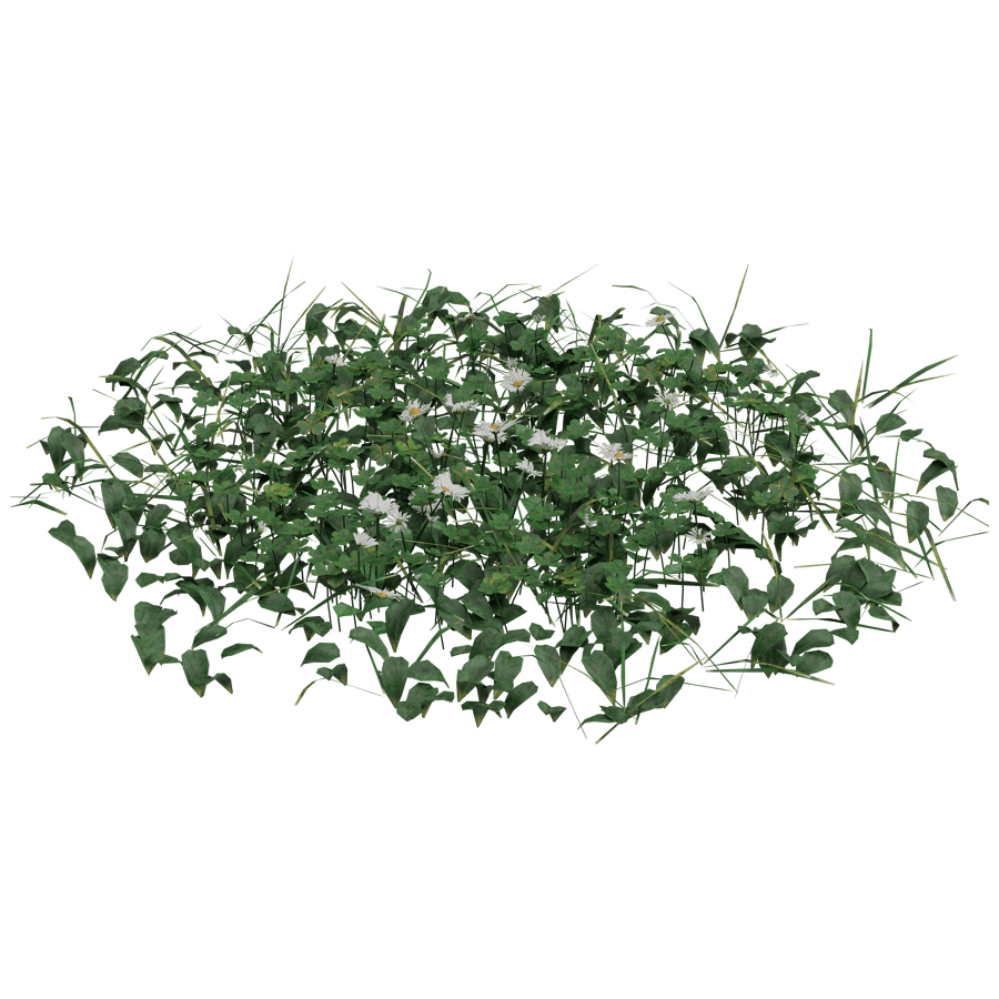 Ground Cover 3D Model - A23D