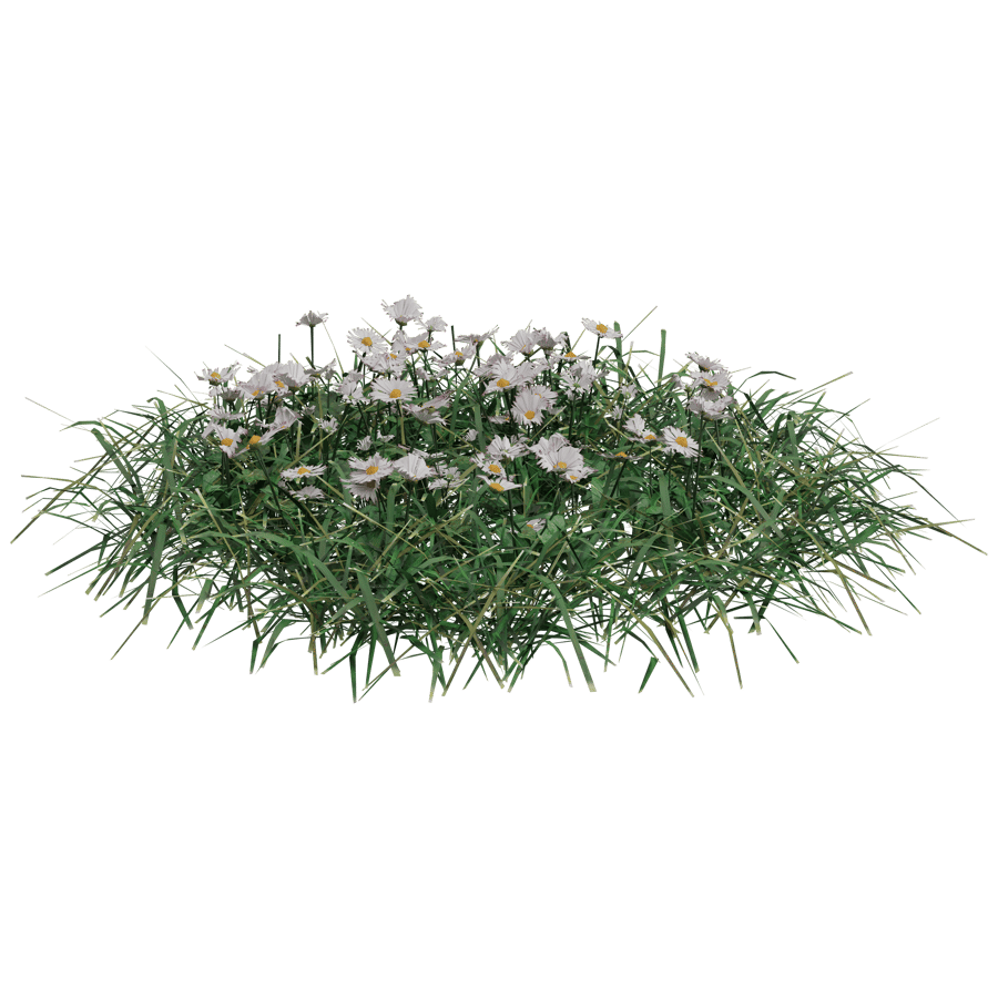 Ground Cover 3D Model - A23D