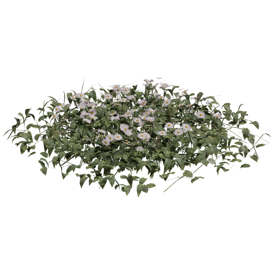 Ground Cover 3D Model - A23D