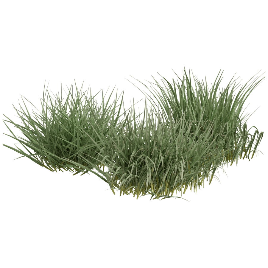 Ground Cover 3D Model - A23D