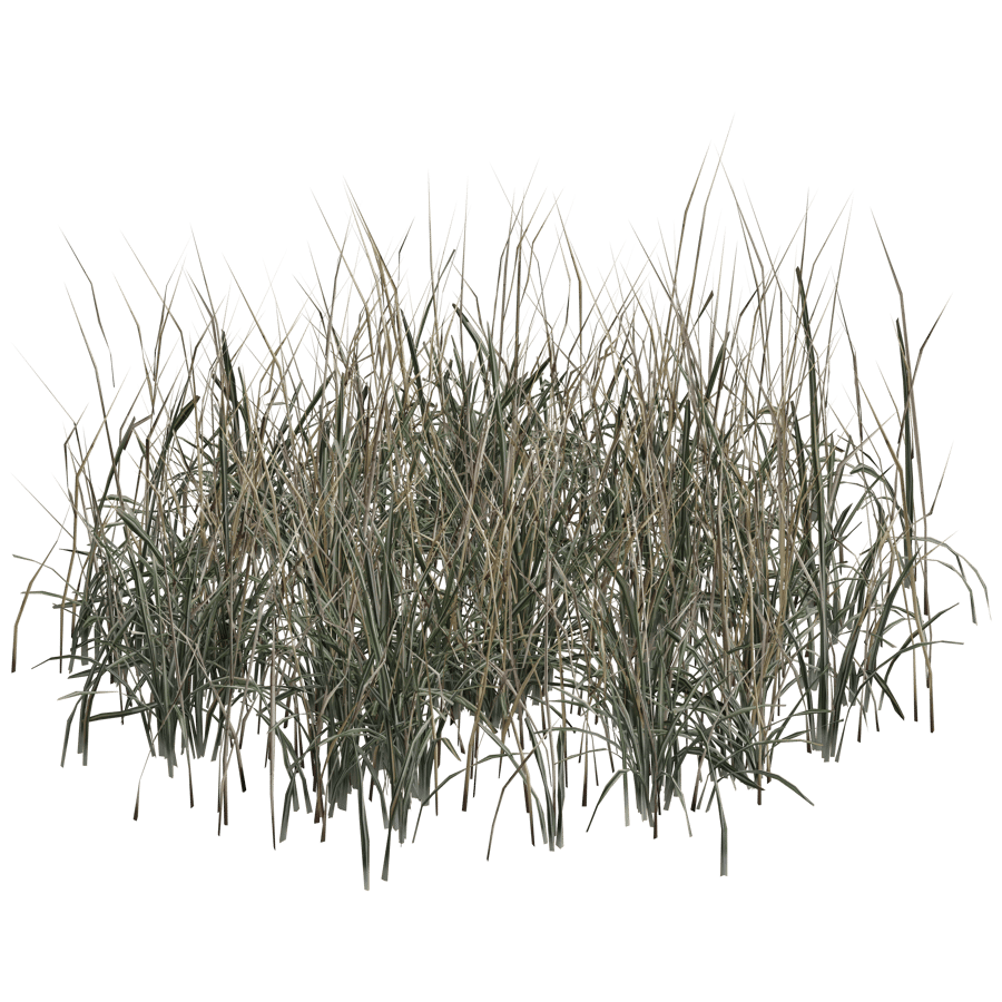 Ground Cover 3D Model - A23D