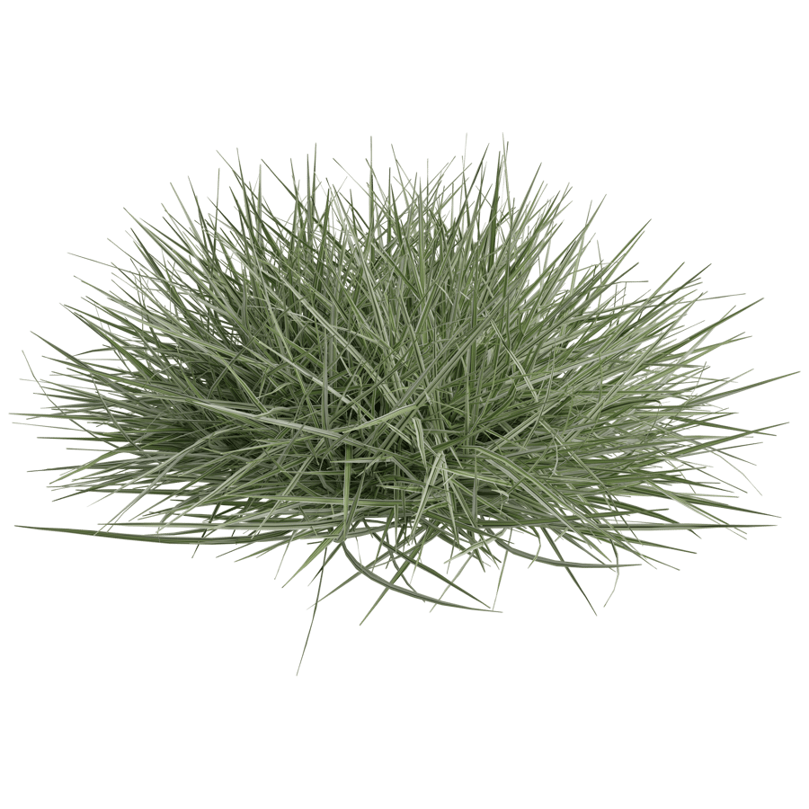 Ground Cover 3D Model - A23D