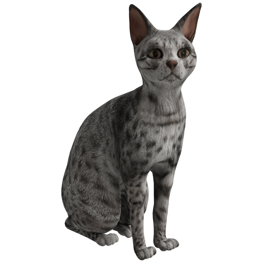 Cat 3D Model - A23D