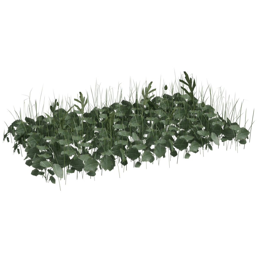 Ground Cover 3D Model - A23D
