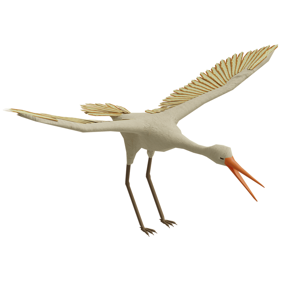 Birds & Insects 3D Model - A23D