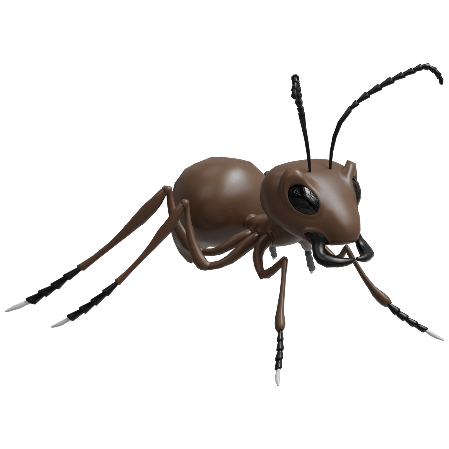 Birds & Insects 3D Model - A23D