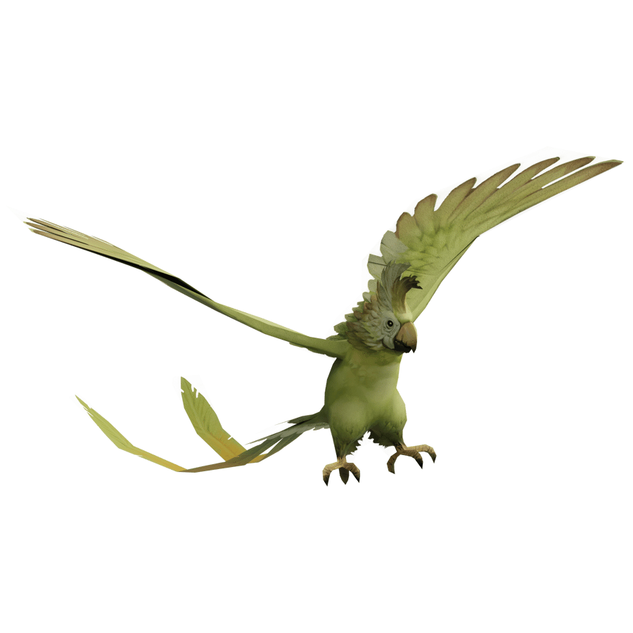 Birds & Insects 3D Model - A23D