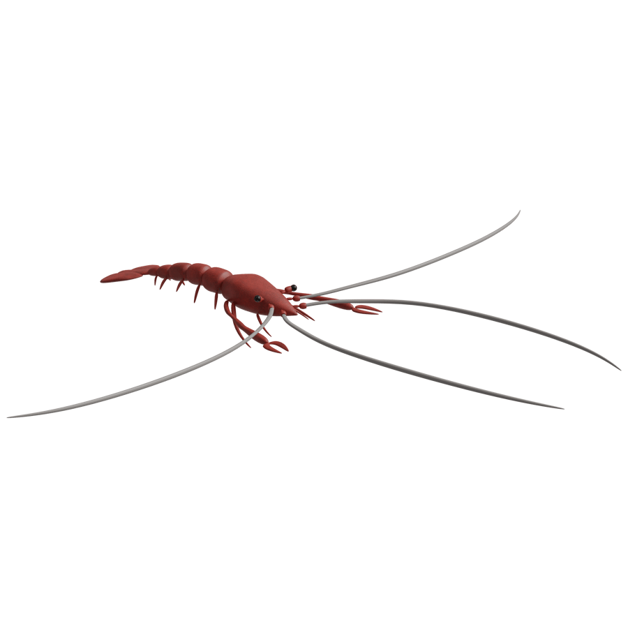 Birds & Insects 3D Model - A23D
