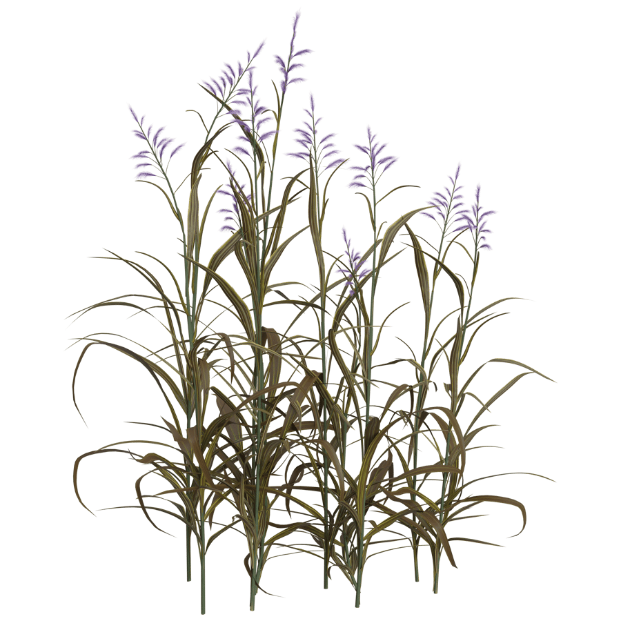 Ground Cover 3D Model - A23D