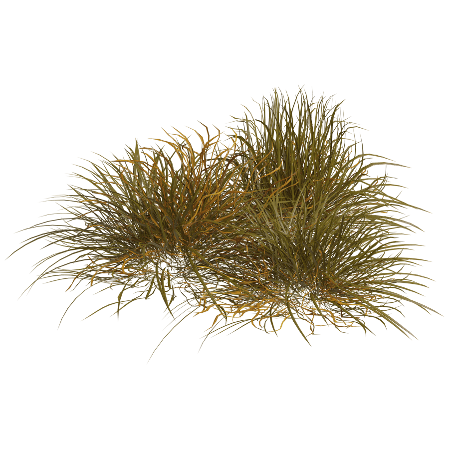 Ground Cover 3D Model - A23D